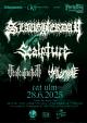 Party.San WarmUp mit SLAUGHTERDAY, SCALPTURE, HALLUCINATE und DEAFCARNATION am Samstag, 28.06.25 um 19:00 Uhr, CAT, Prittwitzstrasse 36, 89075 Ulm